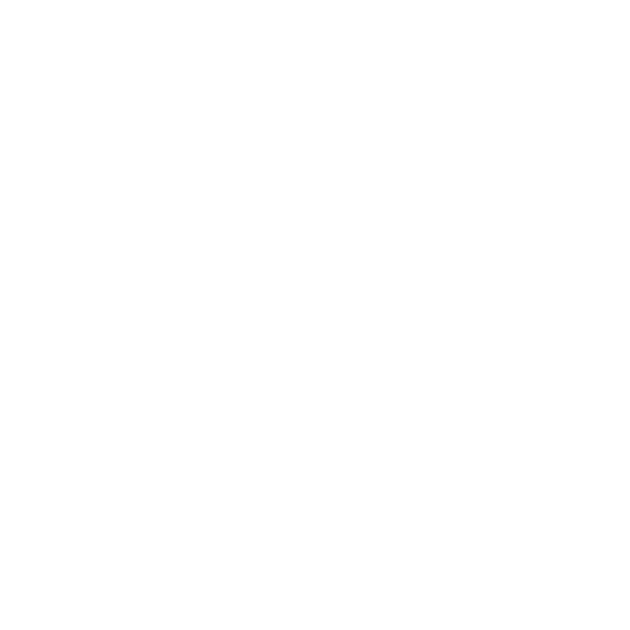 desnic sport - newton sponsor