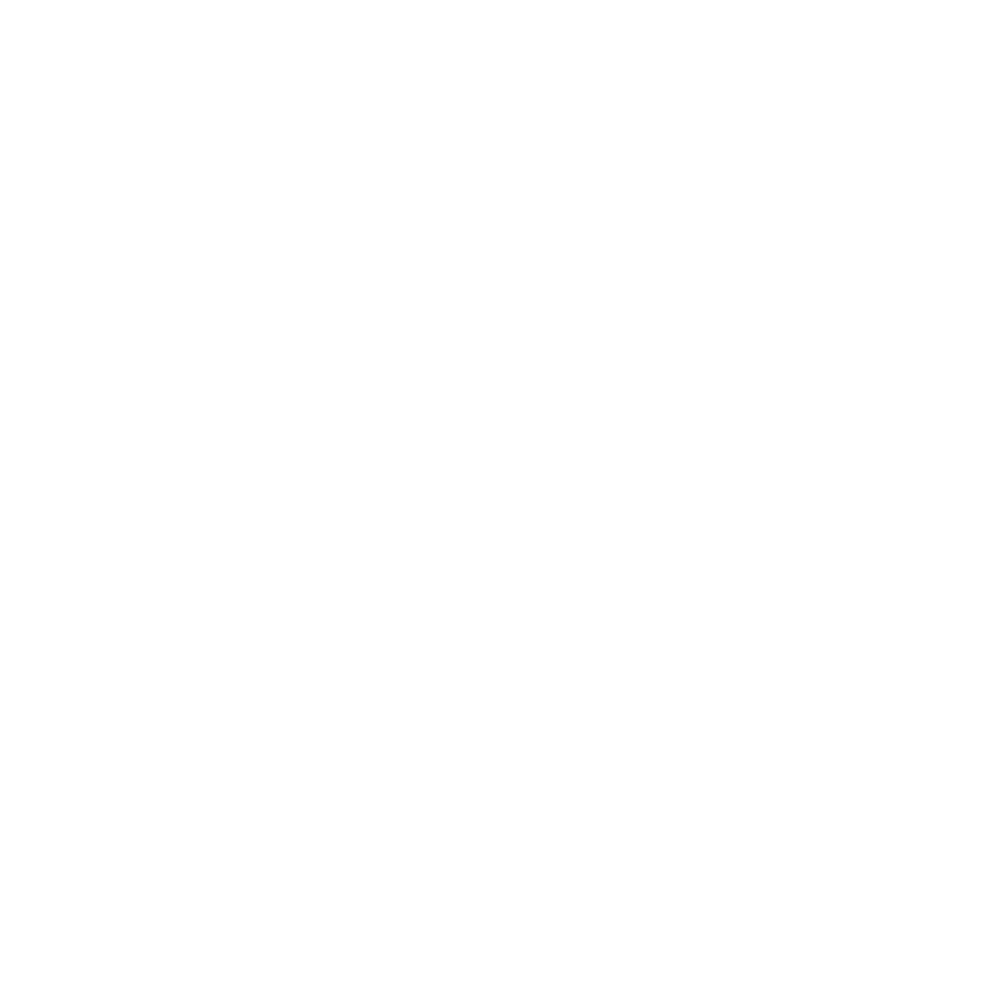 skyworx - newton sponsor